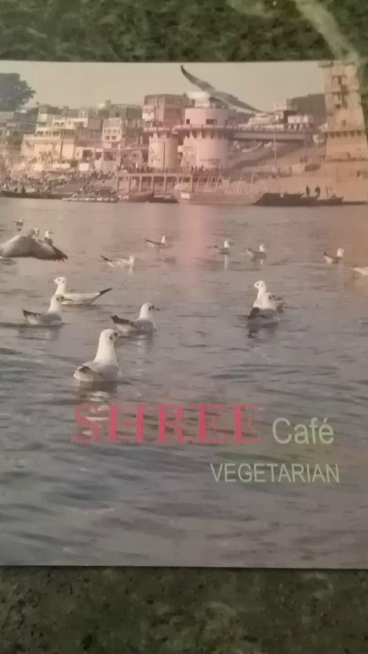 Shree cafe Vegatarian Restaurant